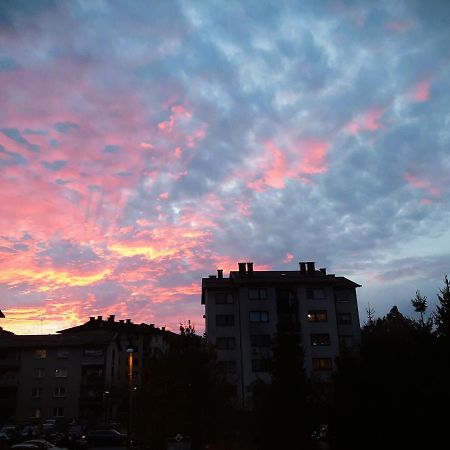 Apartma Vila Tara 프레볼드 외부 사진