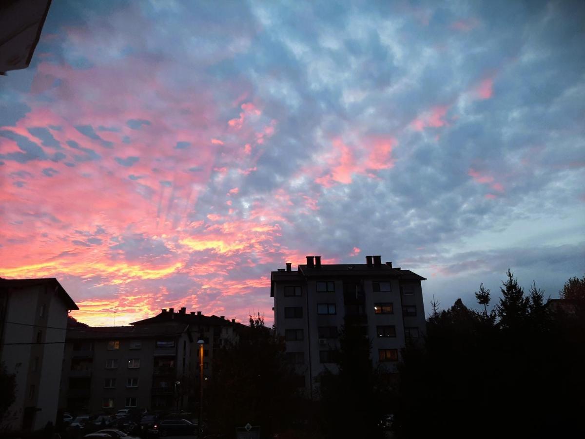 Apartma Vila Tara 프레볼드 외부 사진