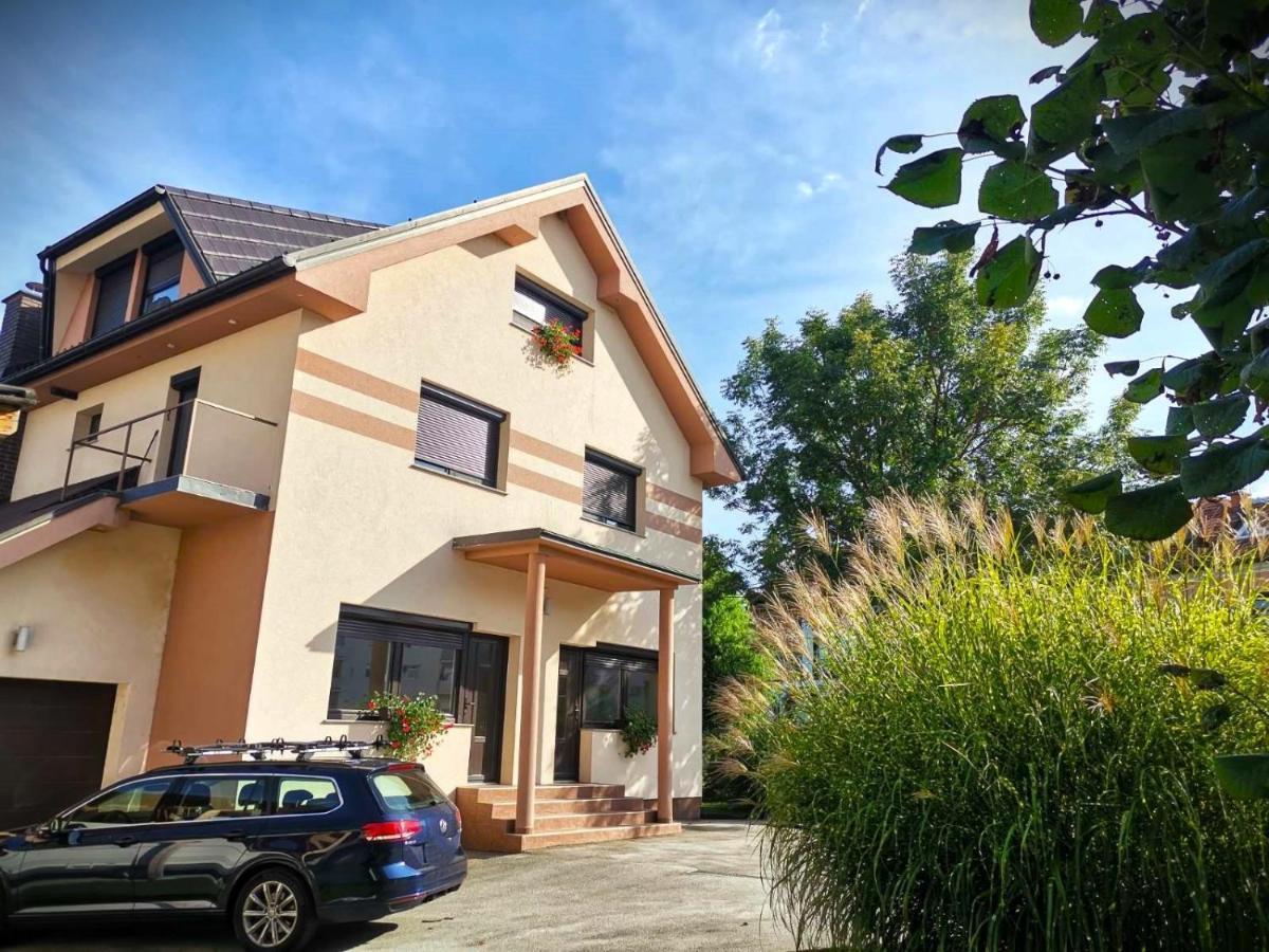 Apartma Vila Tara 프레볼드 외부 사진